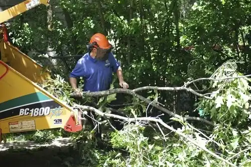tree services Stanberry